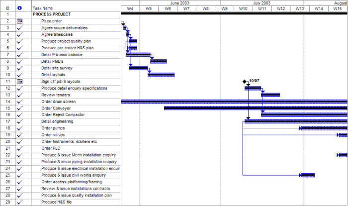 Example Project Plan